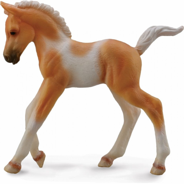 Figurka Collecta Foal Pinto Foal Walking Palomino (004-88...