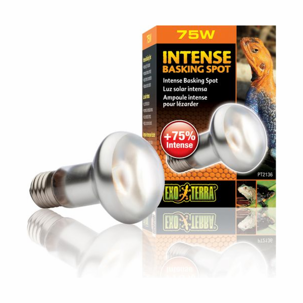 HAGEN EXOTERRA INTENZNÍ BODOVÁ ŽÁROVKA 75W