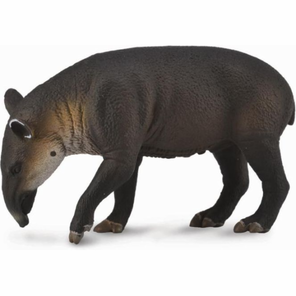 Figurka Collecta Tapira – Bairdovo tele (004-88596)