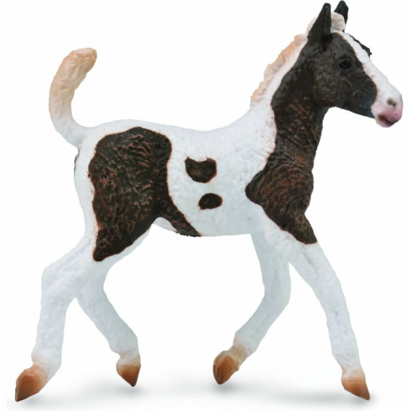 Collecta figurka Bashkir Curly Foal (004-88781)