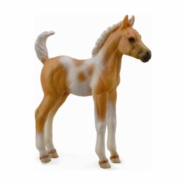 Figurka Collecta Foal Pinto Foal Palomino (004-88669)