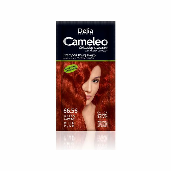 Šampon Delia Cosmetics Cameleo Coloring 66,56 planá švestka