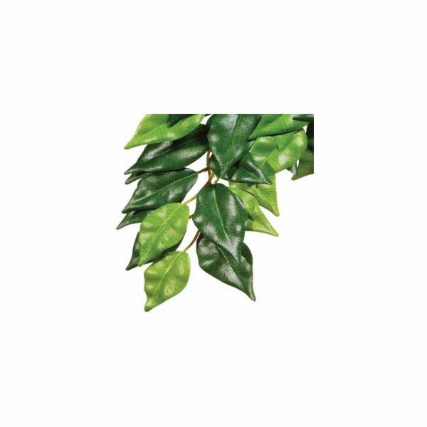 HAGEN EXOTERRA FICUS M. ROSTLINA