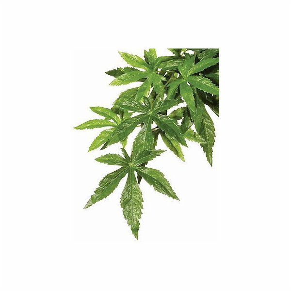 HAGEN EXOTERRA ABULITON S. ZÁVOD