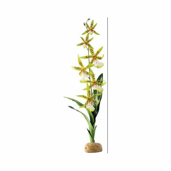 Orchidejová rostlina HAGEN Exoterra 42cm
