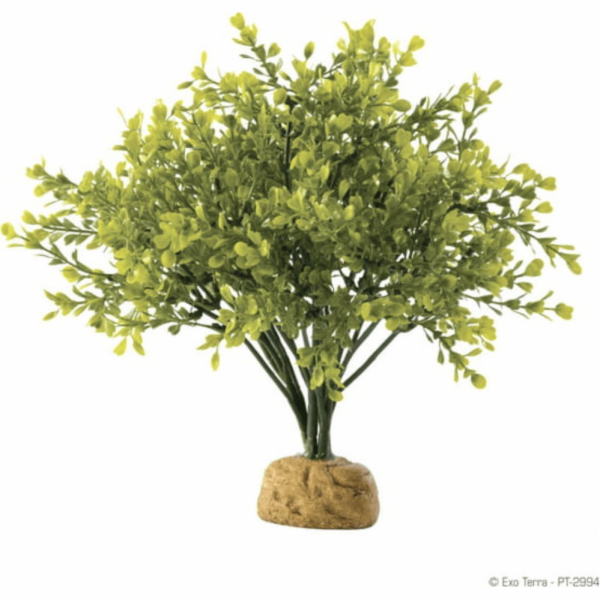 Exo Terra Umělá rostlina – Boxwood Bush