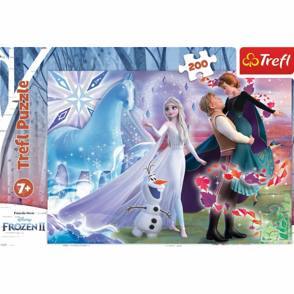 Trefl Puzzle 200 dílků Kouzelný svět sester. Zmrazené 2.
