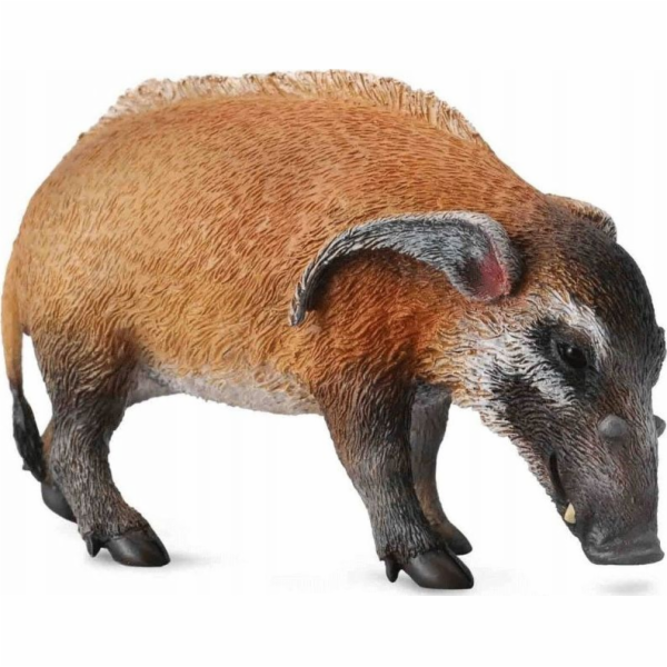 Collecta figurka RIVER PIG - CollectA - 88554 - L