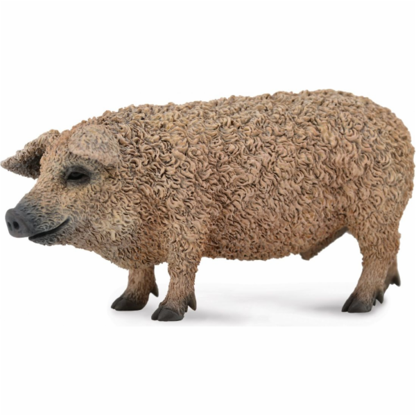 Figurka Collecta Pig Mangalica (004-88674)