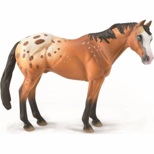 COLLECTA APPALOOSE STÁLÝ, SVĚTLE HNĚDÝ