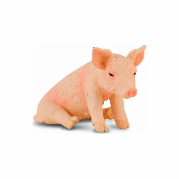 COLLECTA SEDÍCÍ PIGANTI