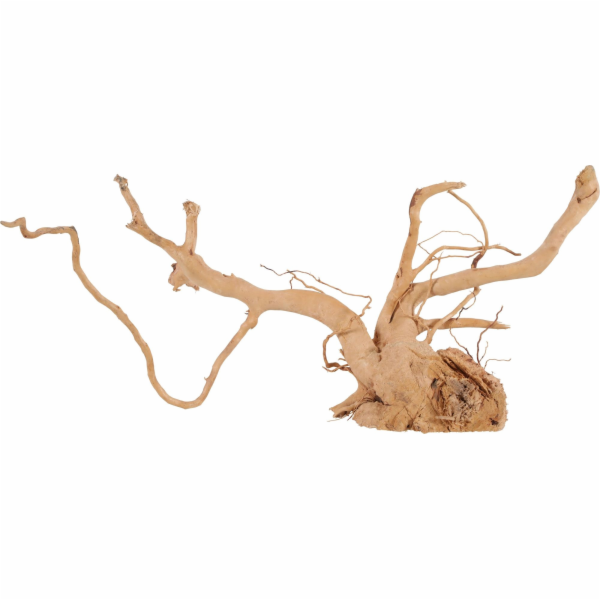 Zolux ZOLUX japonský kořenový pavouk Wood 50-60 cm