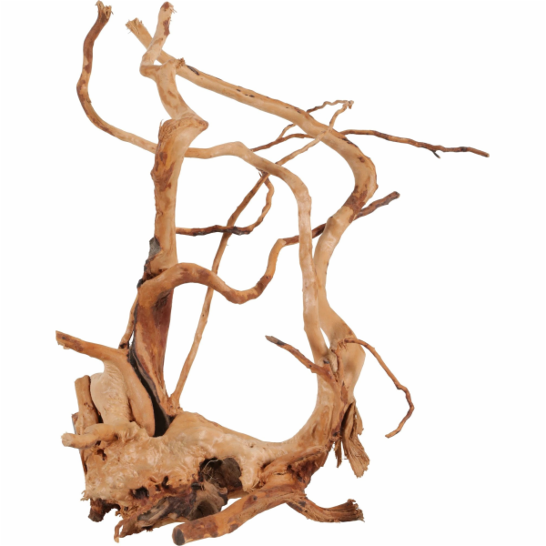 Zolux ZOLUX japonský kořenový pavouk Wood 40-50 cm