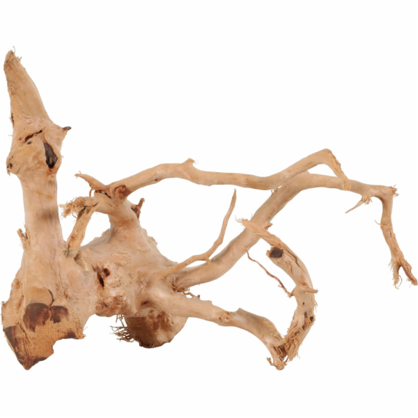 Zolux ZOLUX japonský kořenový pavouk Wood 10-30 cm