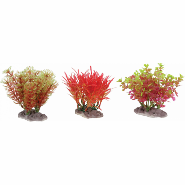 Zolux ZOLUX Plant Display S 6 ks - sada A