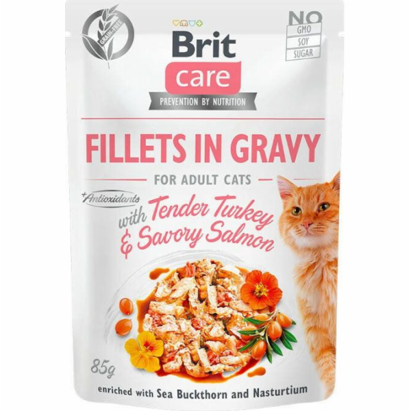 BRIT Care Fillets in Gravy turkey and s