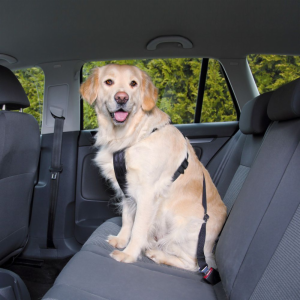 Trixie Car Harness for dog - size M