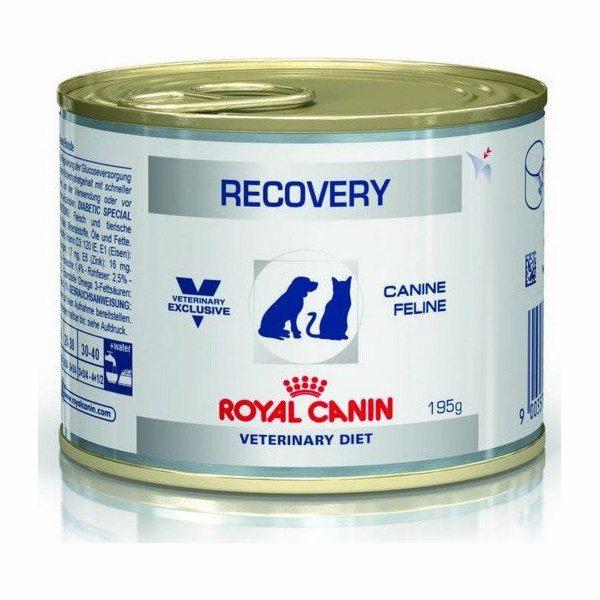 ROYAL CANIN Recovery Wet dog and cat fo