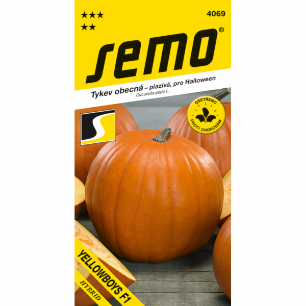 Semeno Tykev plazivá Yellowboys F1 (Halloween) 3 g