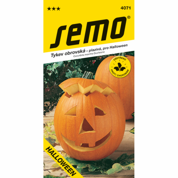 Semeno Tykev plazivá Gigante Halloween 2 g