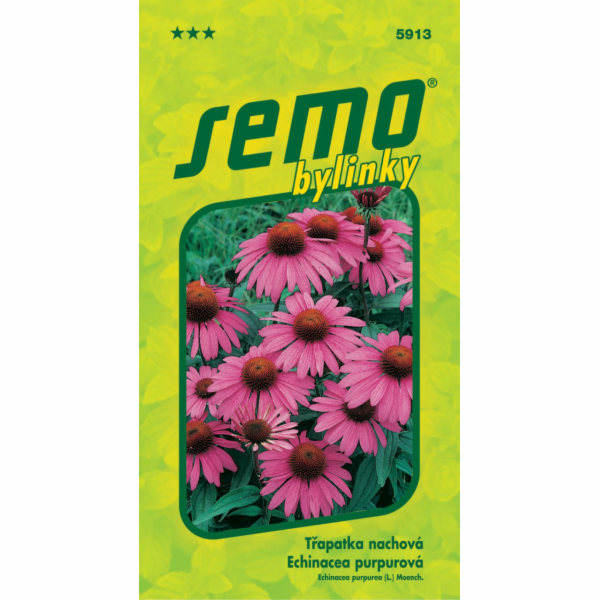 Semeno Třapatka nachová-Echinacea 1 g