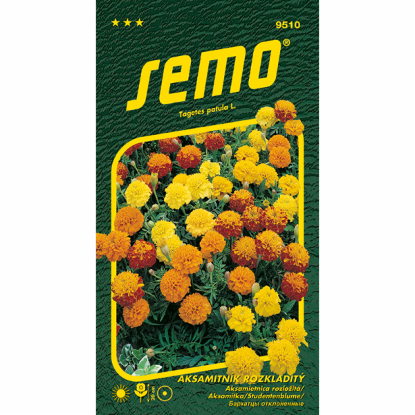 Semeno Aksamitník rozkladitý-Petit směs 1 g