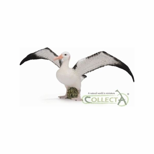 Collecta figurka Toulavého Albatrosa