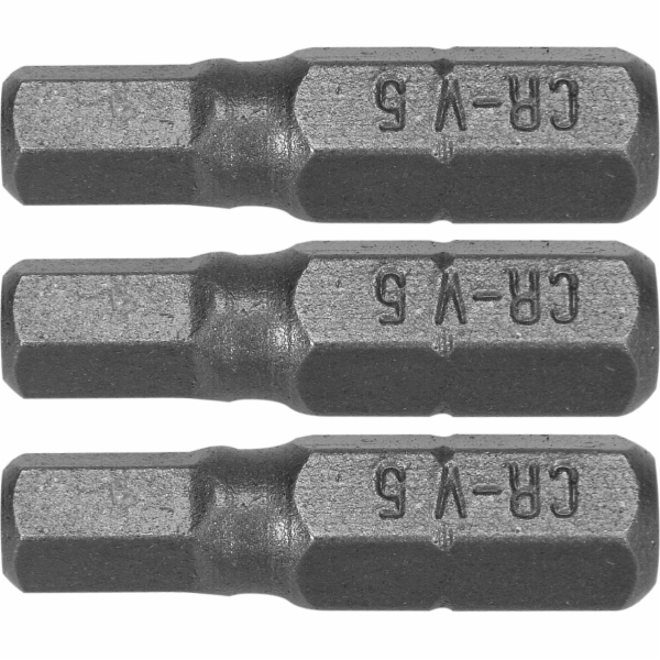 Šroubovací bity Dedra Hex H5x25mm, 3 ks blistr (18A04H50-03)