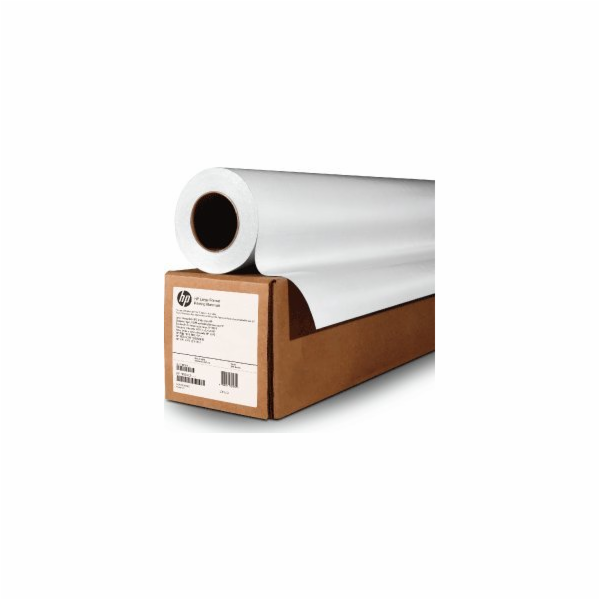 HP HP 1067/30.5/HP Professional Satin Photo Paper, satén,...