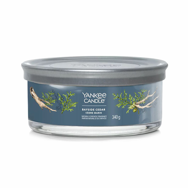Svíčka ve skleněném válci Yankee Candle, Pobřežní cedr, 3...