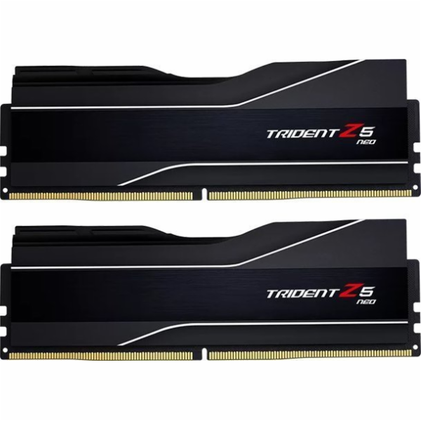 G.Skill DIMM 32 GB DDR5-6000 (2x 16 GB) duální sada, RAM