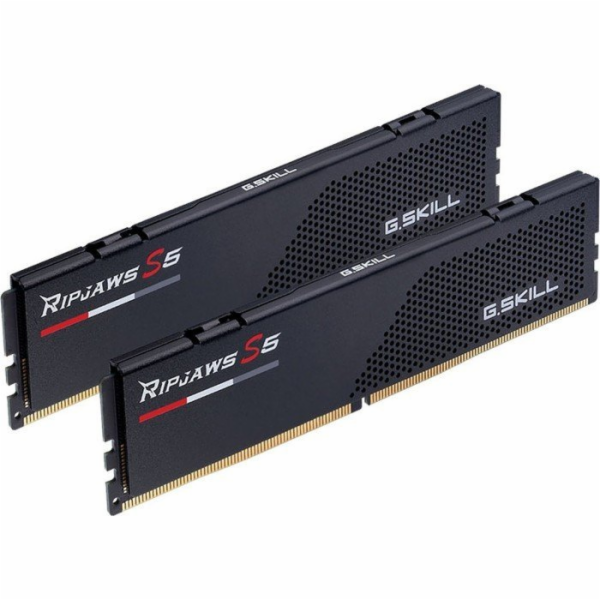 DIMM 48 GB DDR5-5600 (2x 24 GB) duální sada, RAM