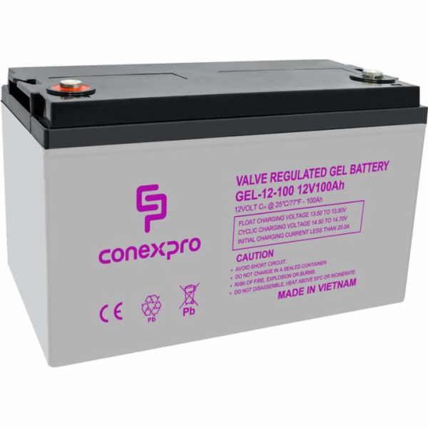 Baterie Conexpro GEL-12-100 GEL, 12V/100Ah, T16-M8, Deep ...