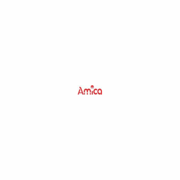 Amica uhlíkový filtr FW-K 202