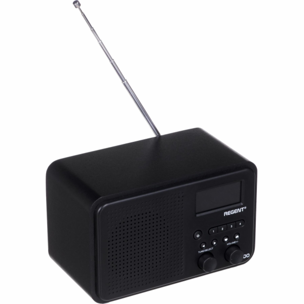 Rádio Ferguson Regent i100