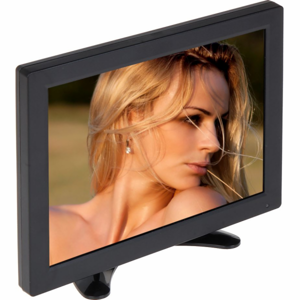 TFT-10/CCTV monitor