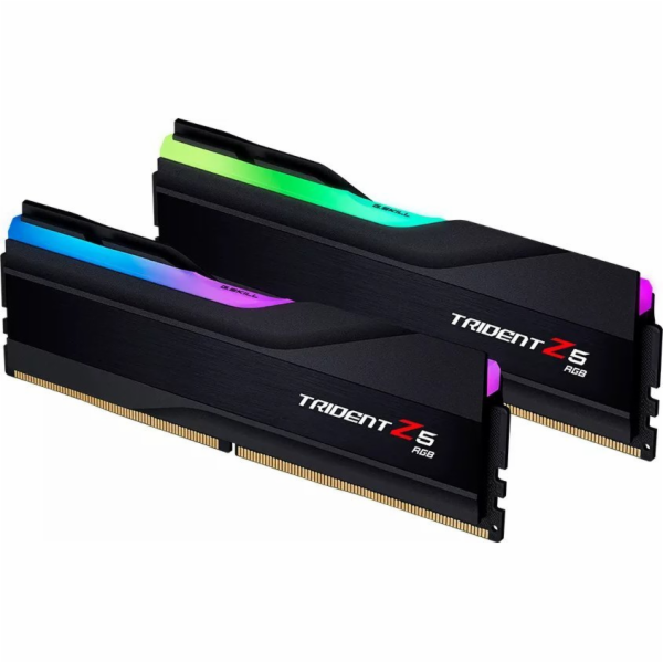 DIMM 48 GB DDR5-6000 (2x 24 GB) duální sada, RAM