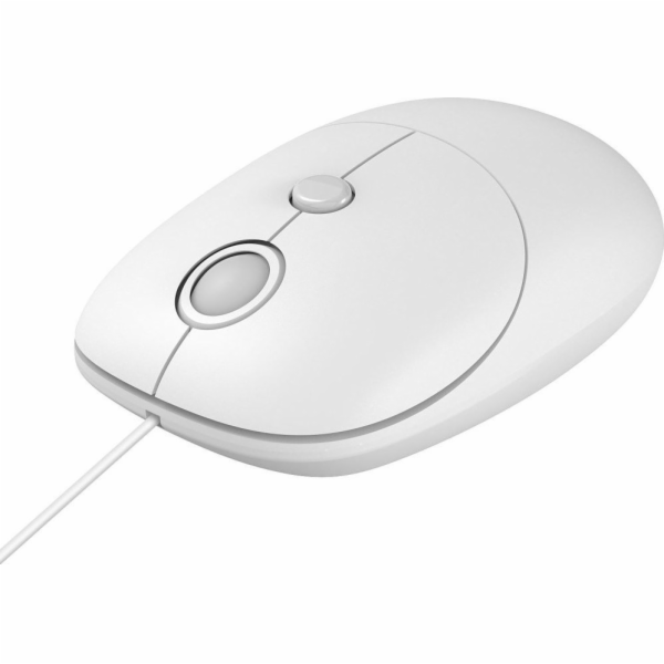 Myš a 011 Racek