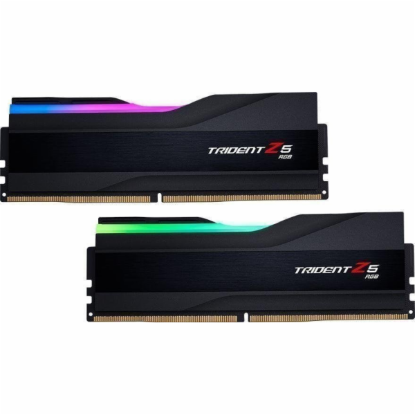 DIMM 48 GB DDR5-8000 (2x 24 GB) duální sada, RAM