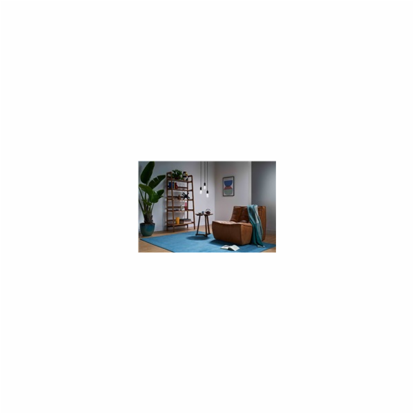 PHILIPS WiZ Wi-Fi BLE ST64 E27 6,3 W - barevná žárovka, n...