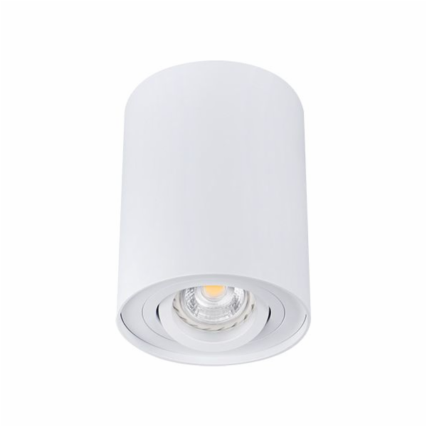 Stropní svítidlo KANLUX BORD 22551, 25 W, GU10