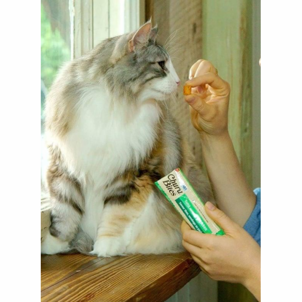 INABA Churu Bites Tuňák s kuřecím masem - pamlsek pro koč...
