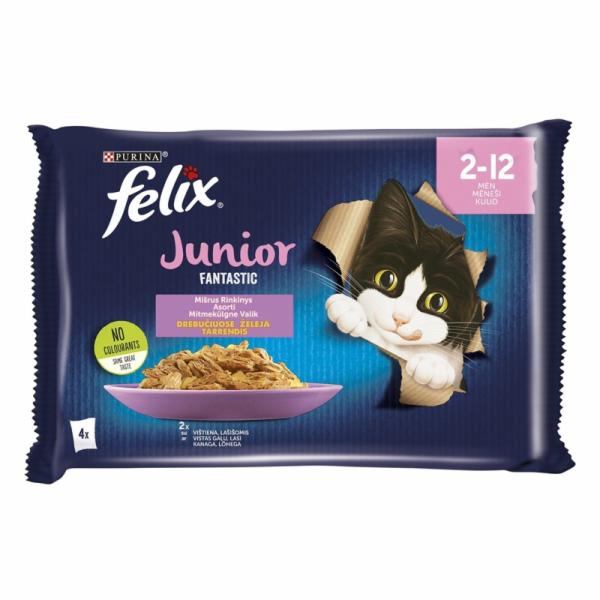Kapsička pro kočky JUNIOR KONS.SU PAD 4X85G