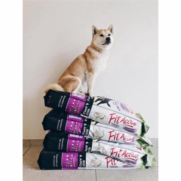 SUCHÉ KRMIVO PRO PSY "FIT ACTIVE EVERYDAY" 15 KG