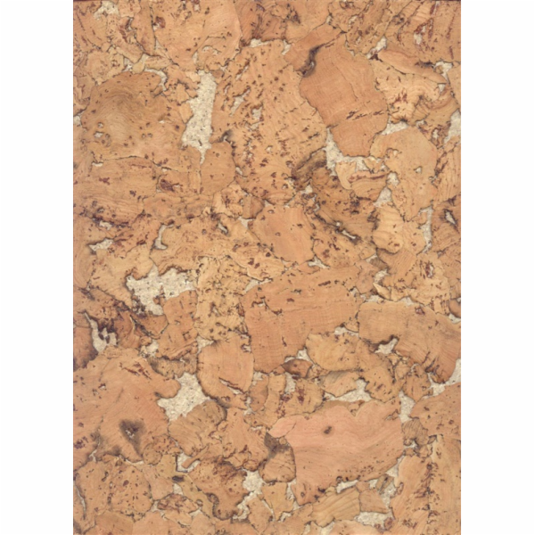 DANG nátěr CONDOR BÉŽOVÁ 30X60X0,3 (1,98)