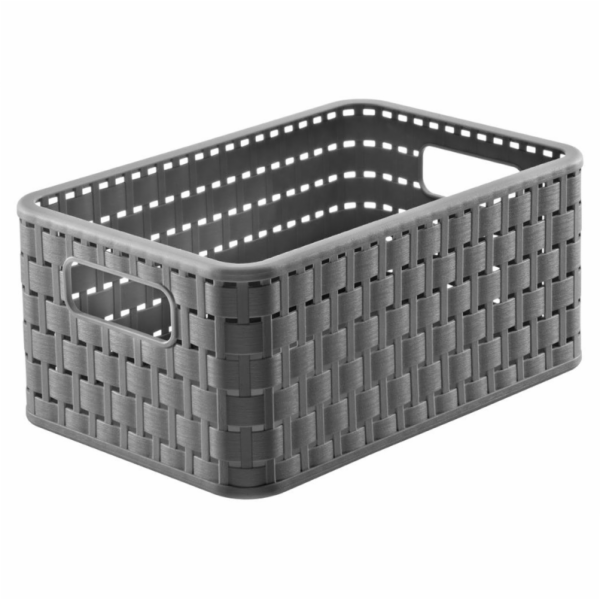 ROTHO, 6 l, pilka, 28×18,5×12,6 cm Box