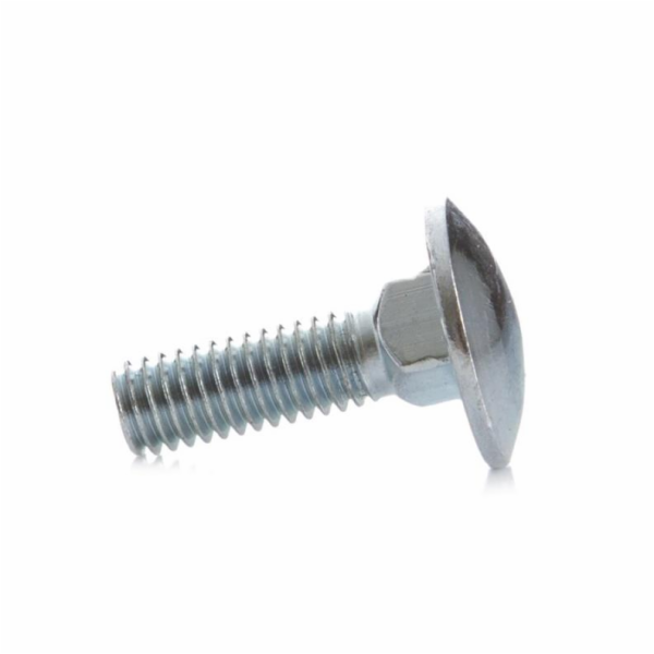 Šroub DIN 603 Haushalt DIN603, 6 mm x 20 mm, 10 ks.