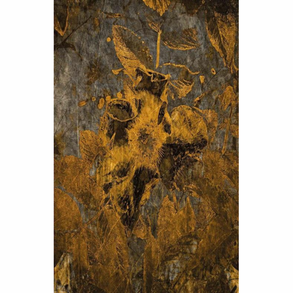 Koberec DG Print dj17.2.0194 1,50x2,30 m