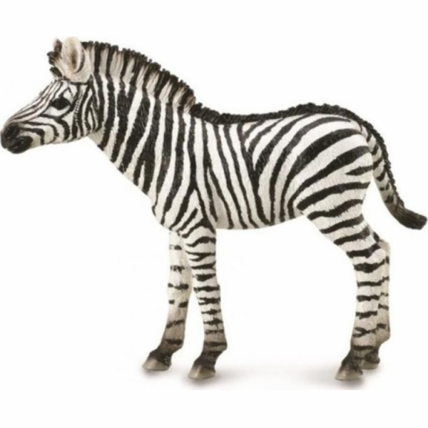 Collecta figurka ZEBRA FOAL