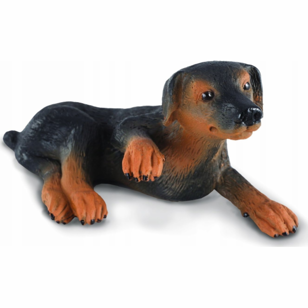 Figurka Collecta COLLECTA DOBERMAN PUPPY